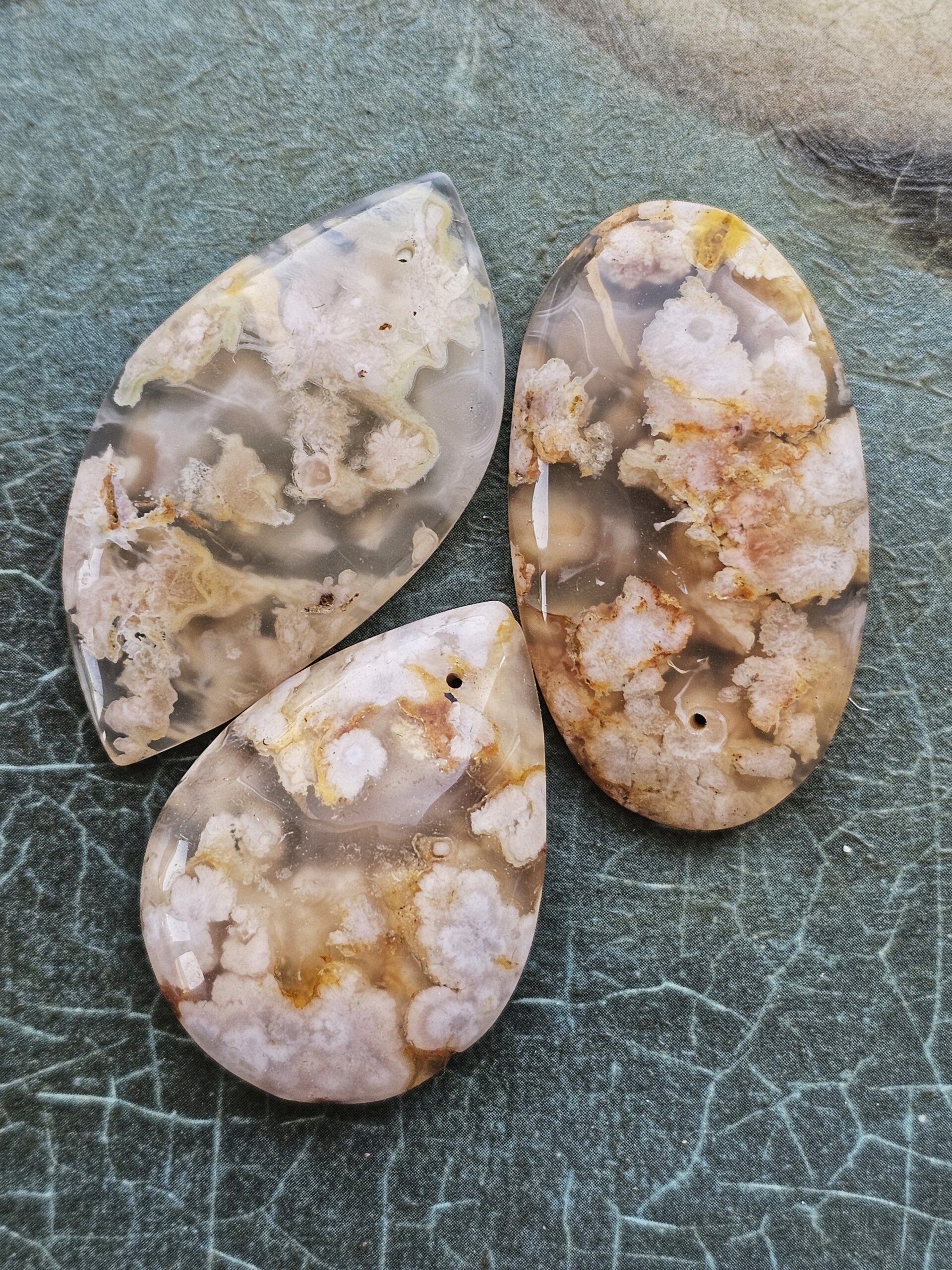 sakura agatas, geletasis agatas